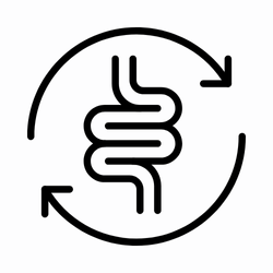 Improved Digestion and Gut Health