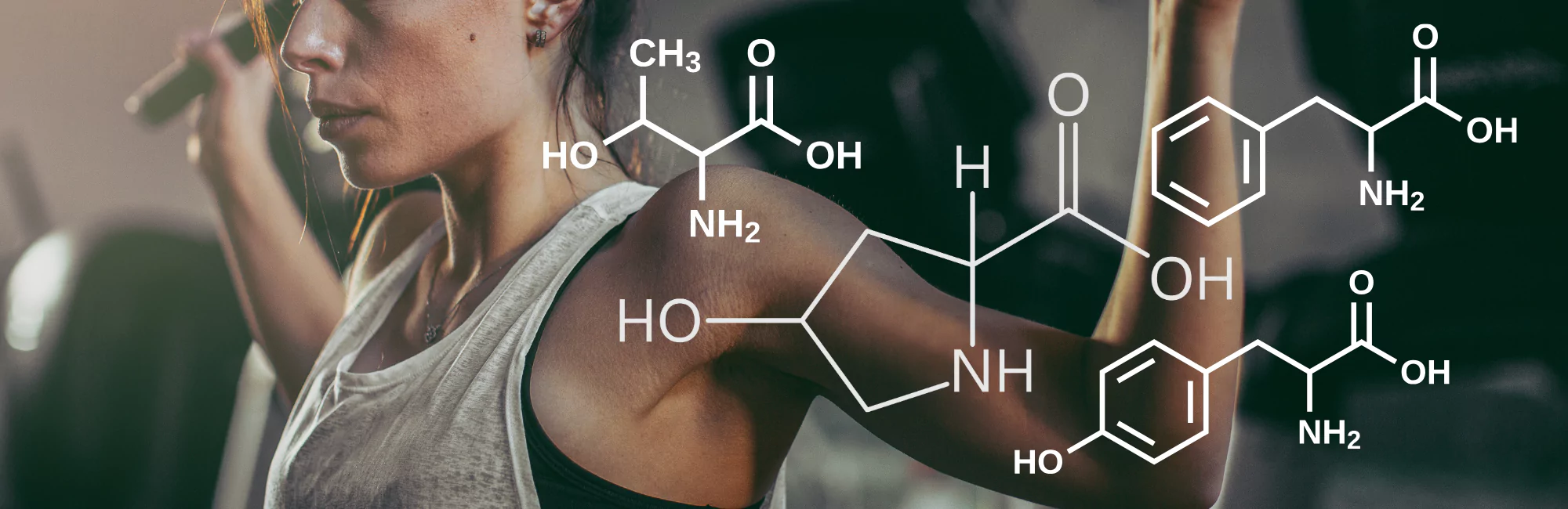 Fermented BCAA and Its Benefits for Fitness and Health