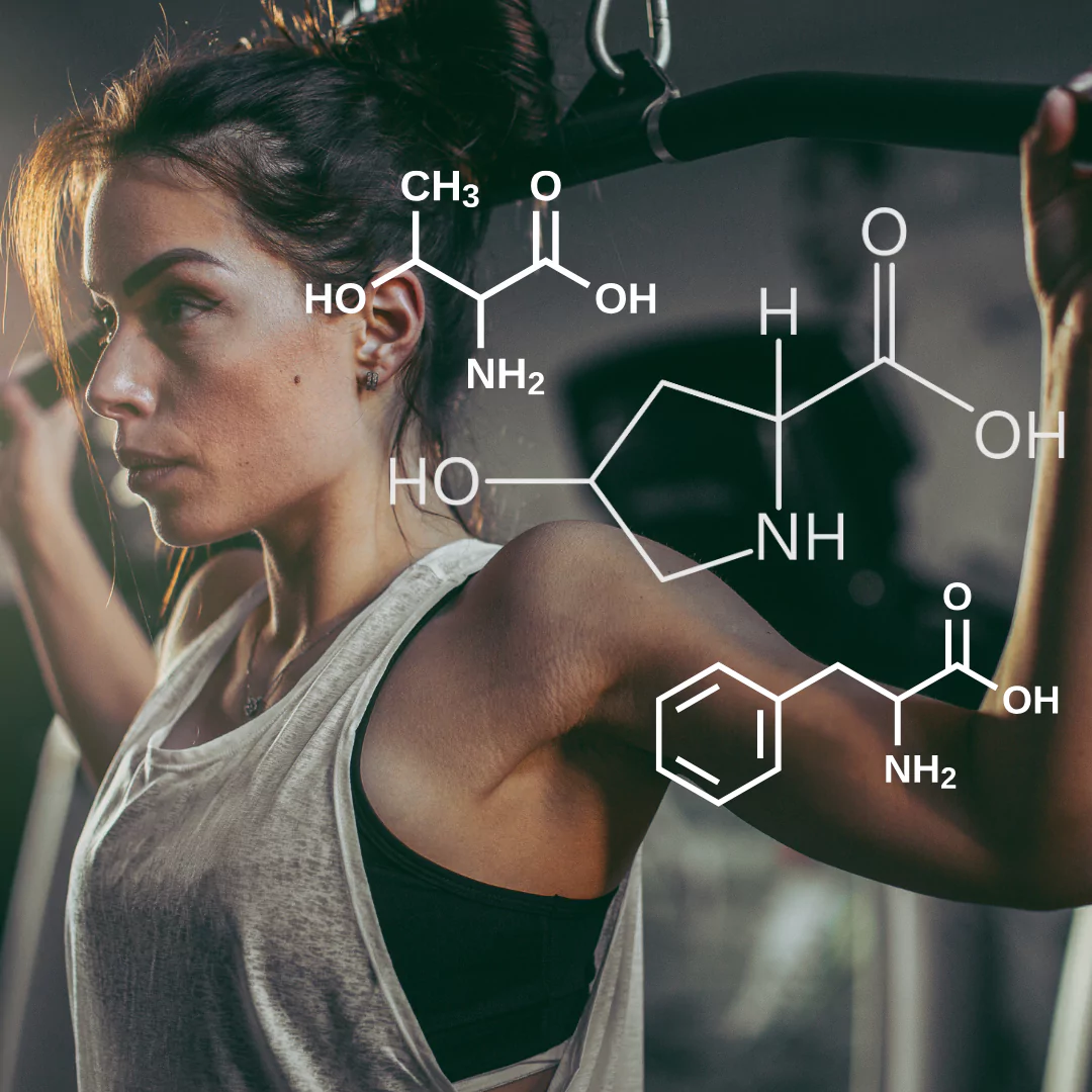 Fermented BCAA and Its Benefits for Fitness and Health